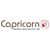 Capricorn Identity Services Pvt. Ltd. Logo