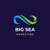 Big Sea Marketing Logotype