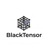 BlackTensorAI Logotype