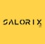 Salorix IT Pvt Limited Logotype