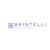 BRINTELLI TECH ACADEMY Logo