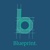 Blueprint Smart Logotype