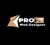 ProFox Web Designer Logo