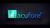 Acufore India Pvt Ltd Logotype