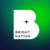 Bright Nation Logotype