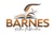 Barnes Author Publication Logotype