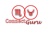 ConnectGuru Logotype
