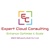 Expert Cloud Consulting Logo