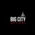Big City Optical - Oak Brook Logo