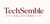 TechSemble Solutions Logotype