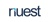 NUEST CONSULTING LLP Logo