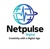 Netpulse Digital Logo