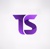 TechSolio Logo