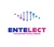 Entelect Logotype