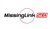 Missing Link SEO Logo
