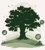 Oak Tree Logotype