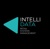 Intellidata Logo