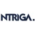 Ntriga Logotype
