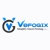 VefoGix Logo