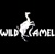 Wild Camel Logotype