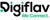 DigiFlav Logo