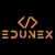 EDUNEX NTI THIB CONSULTANCY SERVICES LLP Logotype