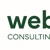 Weblics Consulting Logotype