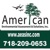 American Environmental Assessment & Solutions, Inc. Logotype