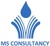 MS Consultancy PLC Logotype