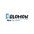 Salomon WS Logo