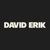 David Erik Logotype