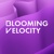 Blooming Velocity Logotype