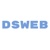 DSWEB LLC Logotype