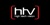 HTV - High Tech Vision Logotype