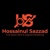 Hossainul Sazzad Logotype