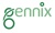 Gennix Consulting Logotype