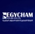 Egycham Logo