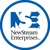 NewStream Enterprises Logo