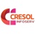 Cresol Infoserv Pvt Ltd Logotype