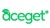 Aceget Logotype