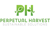 Perpetual Harvest Sustainable Solutions Logo