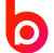 Bpointer Logo