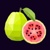 Guava Tech Logo
