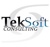 TekSoft Consulting, LLC Logo