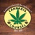 Cannabis Counsel