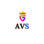 The AVS Technology Logo