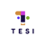 TESI Outsourcing Logo