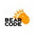 Bear Code LLC Logo