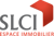 the SLCI Group Logo