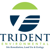 Trident Environmental Consultants Logo